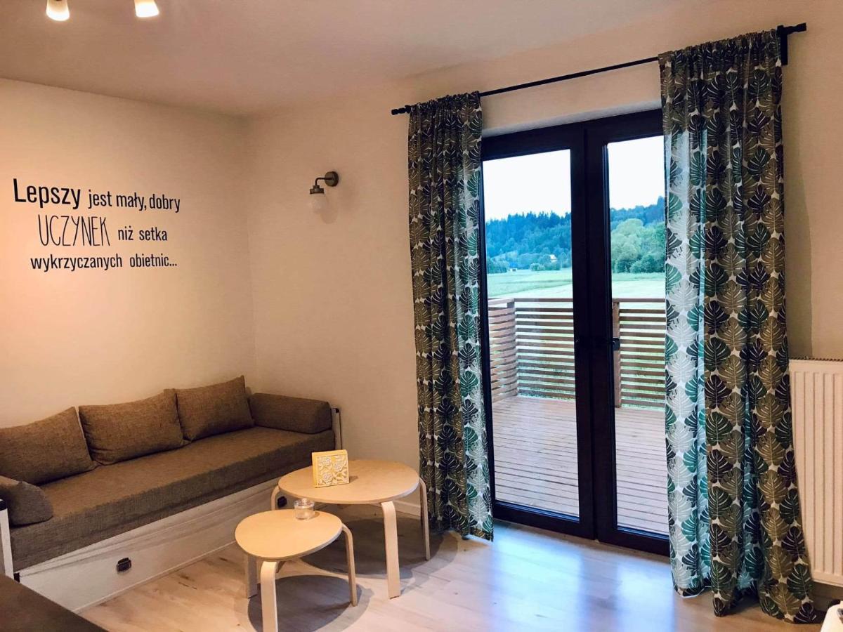 Apartament Przy Potoku Zubrzyca Gorna Екстериор снимка