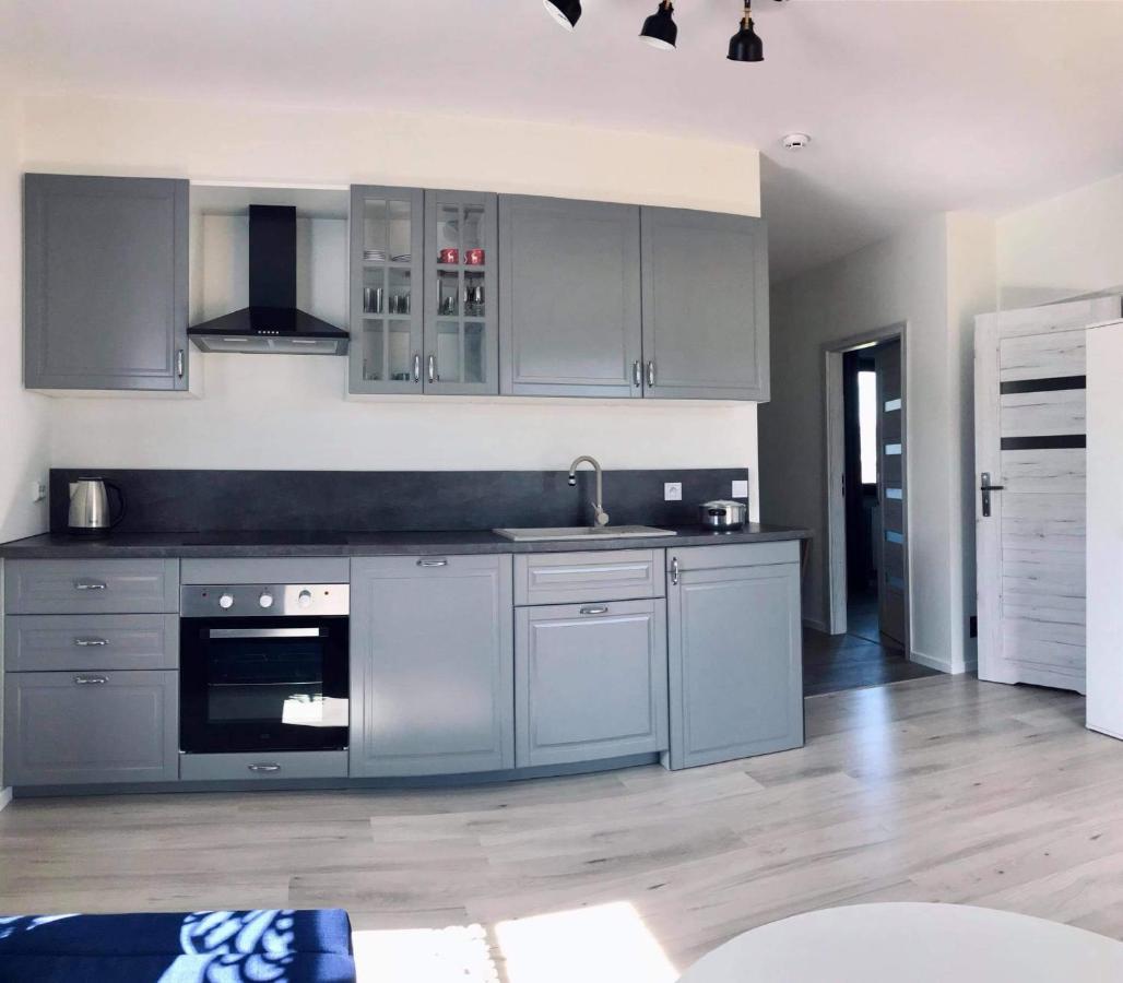 Apartament Przy Potoku Zubrzyca Gorna Екстериор снимка